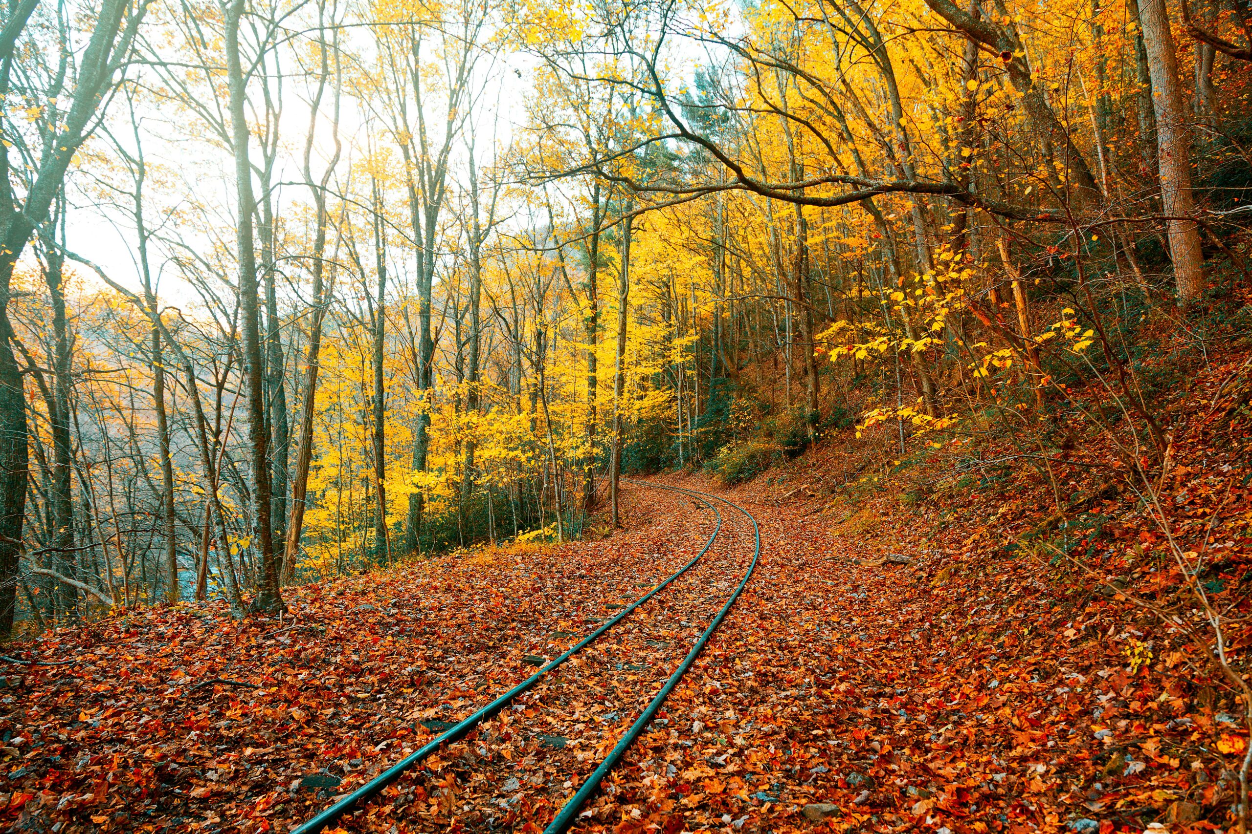 Best Place to See Fall Colors in New York: Top Spots